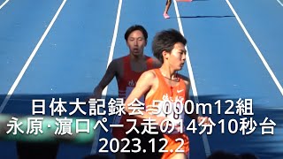 『永原･濵口(佐久長聖高)14分10秒台のペース走』 日体大記録会 5000m12組  2023.12.2