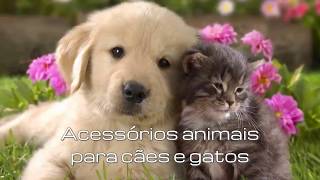 🛍  Rações e Acessórios para cães e gatos | Electrika Shop Portugal