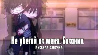 РУССКАЯ ОЗВУЧКА | «Не убегай от меня, ботаник» | Гача мини-фильм, яой и т.д.