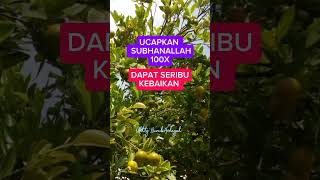 Ucapkan zikir ini 100x #feedshorts #viral #dzikir #foryou #fypシ #fyp