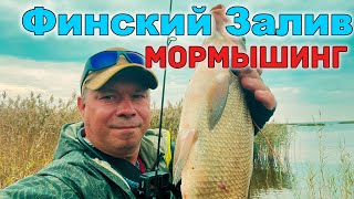 ЗДОРОВЫЕ ЛЕЩИ, Краснопёрка и другие РЫБЫ!🐠🐟🤫Мормышинг. Финский залив. #мормышинг #nanojig #рыбалка