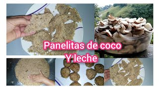 como hacer panelitas de coco con leche con 3 ingredientes