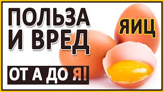 ЯЙЦА. Польза и вред Яиц! Полный разбор! D3, В12, желток, белок, Омега 3, холестерин, лецитин, куры.