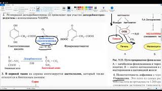 Фенилаланин. Тирозин. Фенилкетонурия. Паркинсонизм. МАО. Биогенные амины