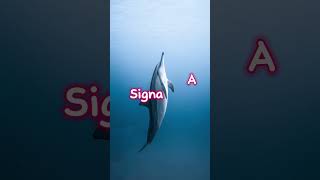 Dolphins Use Names to Communicate #shorts #facts #viral #dolphin #sea #marine #fyp #name #society