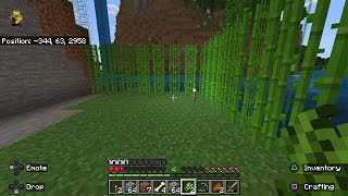 Minecraft Episode 43