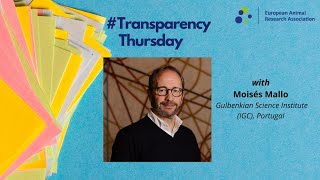 Transparency Thursday – Moisés Mallo