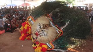 HEBAT BANGET ‼️ ATRAKSI GULUNG PEMBARONG GANTENG MAINKAN BARONGAN REOG SUPER JUMBO