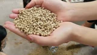 How to Operate A Fish Feed Pellet Machine