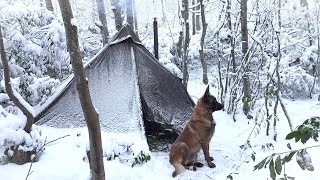 Зимний кемпинг в метель с моей собакой | Выживание в лесу, Приготовление пищи на плите