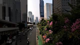 Halte Dukuh Atas-BNI #panorama #kota #jakarta #busway #vehicles #ibukota  #viral #fyp #walking