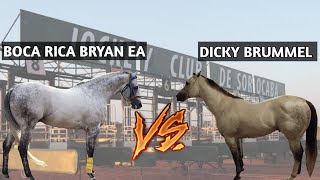 DICKY BRUMMEL VS BOCARICA BRYAN EA, Quem ganharia esse desafio?