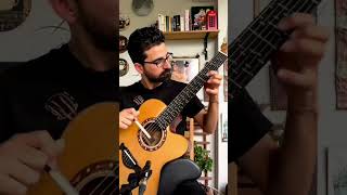 Tanburi Cemil Bey - Çeçen Kızı - Mikrotonal Gitar - Tolgahan Çoğulu #microtonalguitar #music #guitar