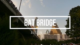 4k - Congress Avenue Bridge Bats in Austin, Texas  - FULL VIDEO