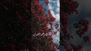 "إذا تأملت في القرأن... 🥺🖤🌹".|#2023 #2024 #statu_watsap_2024 #tiktok #اكسبلور #reels #لايك #remix