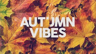 AUTUMN VIBES - Cool Music