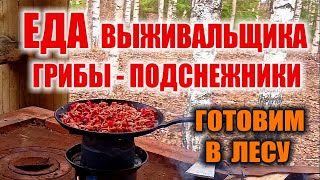 ЕДА ВЫЖИВАЛЬЩИКА (автономщика) ВЕСНОЙ. Готовим в лесу самые первые весенние грибы - подснежники.