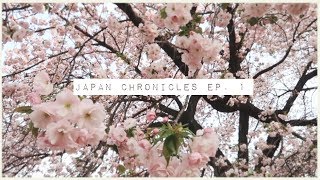 Japan Chronicles Ep. 1 // house tour & cherry blossoms