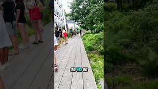 High Line in NYC #highline #nycgardens #newyorkcity #thingstodoinnyc