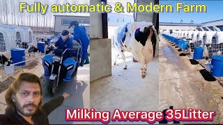 Biggest friesian cows farm | China largest dairy farm | Average Milk 35 litter a day | Cattle farm