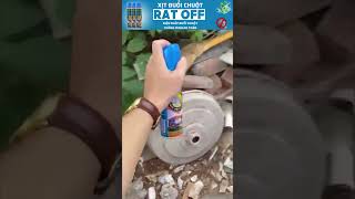 Xịt Đuổi Chuột RAT OFF Thái Lan - Nỗi Khiếp Sợ Của Bầy Chuột