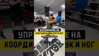 Упражнение для всех боксёров☝🏻 #ufc #китэк #kitek #boxing #mma