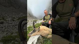 German & Italian Hunters Hunting Chamois In Slovenian Alps #jager #slovenia #chamois #gams #gamsjagd