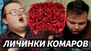 МОТЫЛЬ / ЛИЧИНКИ КОМАРОВ