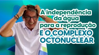 Reprodução Sexuada em Angiospermas | Biologia