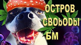 HPPD - Нарушение сенсорного восприятия после приема ПАВ.