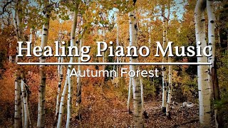 4 Hours of Relaxing Piano with forest sound, Healing Music, Meditation Music, Spa Music, Study Music