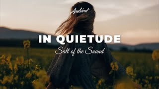 Salt of the Sound - In Quietude [ambient vocal inspiring]