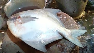 Professional Fish Cutting Skills Live in Fish Market   Fillet Rupchanda Fishing Cut