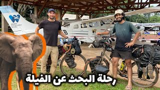 #vlog 65 من الجزائر.  إلى الكونغو البحث عن الفيلة في الغابات الاستوائية مغامرة فريدة من نوعها