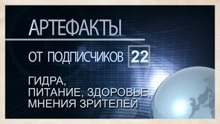 Артефакты от подписчиков 22 Гидра, лярвоведение