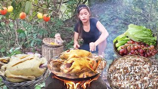 Duck curry spicy and Pick wild persimmon fruit - Survival solo in jungle