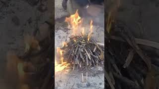 Master the Fire: How to Build a Sustainable Campfire in 3 Easy Stages