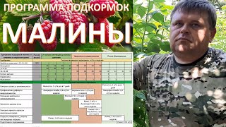 Темрюкская малина и программа кормления от Супер-Агро