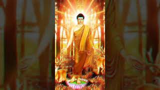 Gautam Buddha 4k full screen || #lordbuddha #buddha #status #shortsvideo