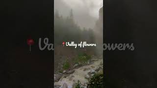 Valley of flowers trek | Uttarakhand #magical #mystical #harrypotter #trekking #timelapse #clouds