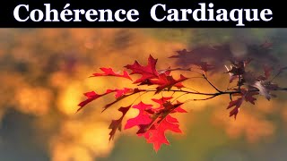 💖  Coherence Cardiaque Exercices 🐦