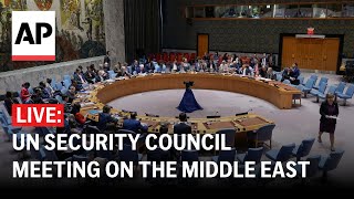 LIVE: UN Security Council meeting on the Middle East