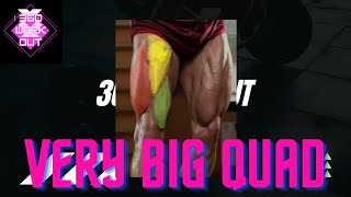 10 best exercises for the quadriceps