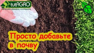 ЭТИМ ПОРОШКОМ УДОБРИТЕ ВЕСЬ САД и ОГОРОД! Эта подкормка творит чудеса! Как лучше вносить кальций.