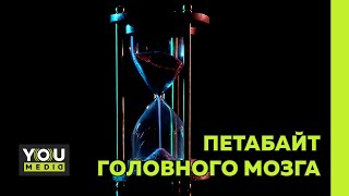 ПЕТАБАЙТ ГОЛОВНОГО МОЗГА