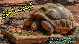 BED TIME Stories for kids| کچھوے کا خول | Kids cartoons | The Tortoise shell@Onlinetuition4608