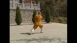 Shaolin 18 Louhan Hands by Shi DeYang