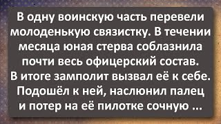 В Воинской Части Появилась Новенькая Связистка! Сборник Самых Свежих Анекдотов!