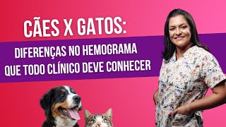 Cães x Gatos: Diferenças no hemograma que todo clínico deve conhecer