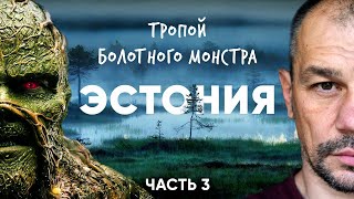 Сквозь эстонскую тайгу на велосипеде. Эстония.